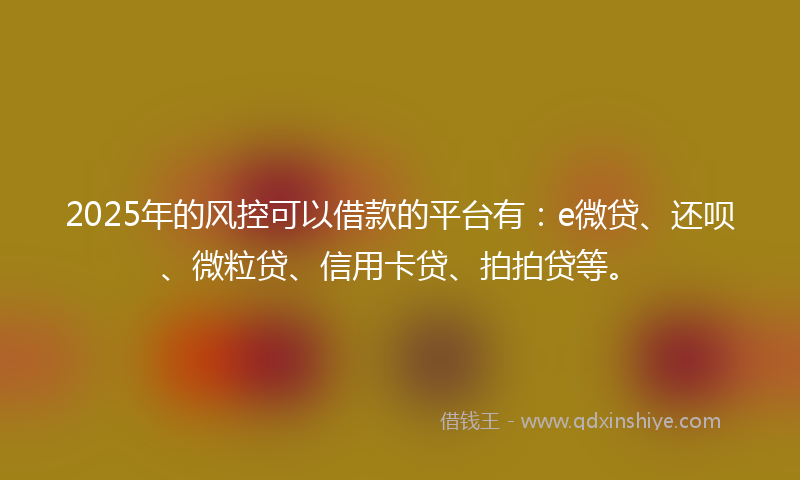 2025年的风控可以借款的平台有：e微贷、还呗、微粒贷、信用卡贷、拍拍贷等。
