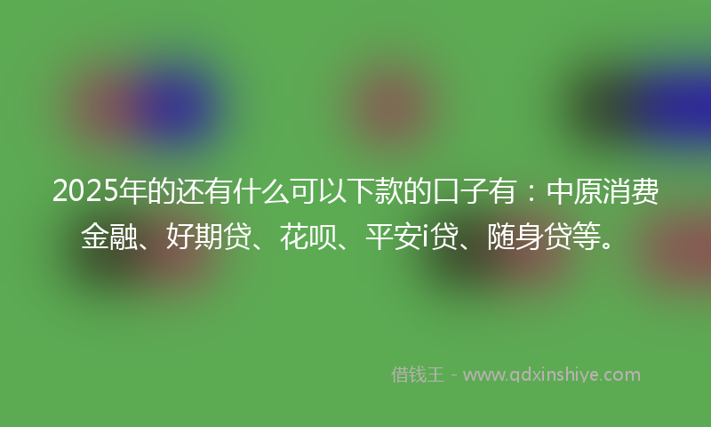 2025年的还有什么可以下款的口子有：中原消费金融、好期贷、花呗、平安i贷、随身贷等。