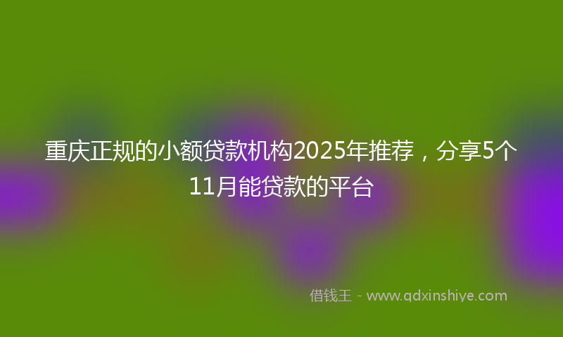 重庆正规的小额贷款机构2025年推荐，分享5个11月能贷款的平台
