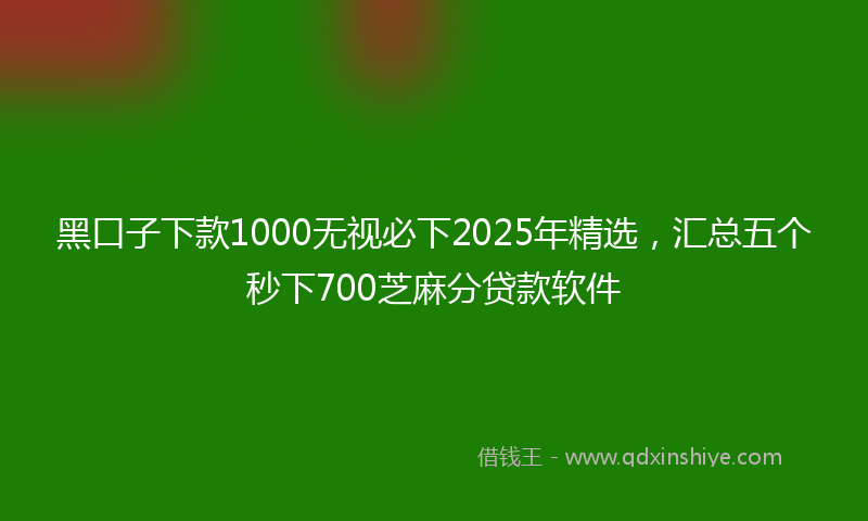 黑口子下款1000无视必下2025年精选，汇总五个秒下700芝麻分贷款软件
