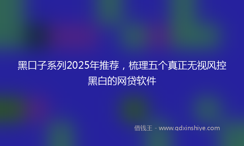 黑口子系列2025年推荐，梳理五个真正无视风控黑白的网贷软件