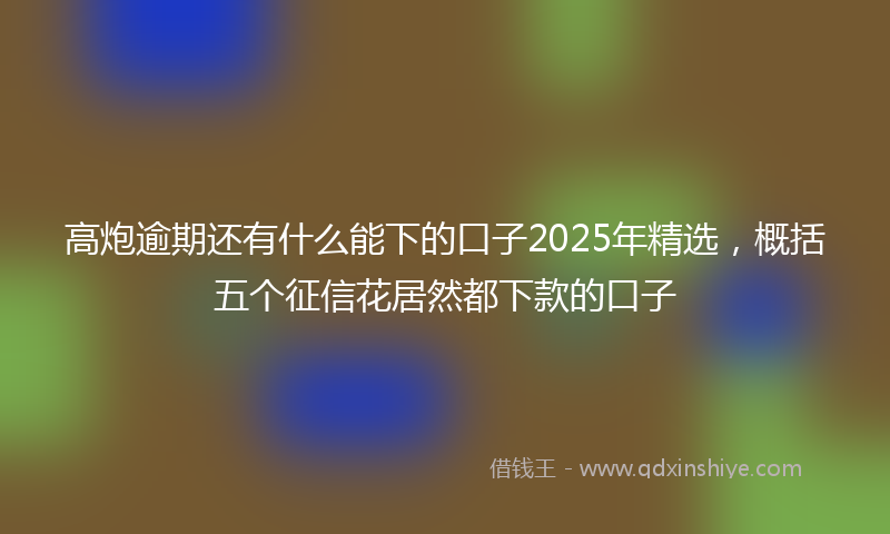 高炮逾期还有什么能下的口子2025年精选，概括五个征信花居然都下款的口子