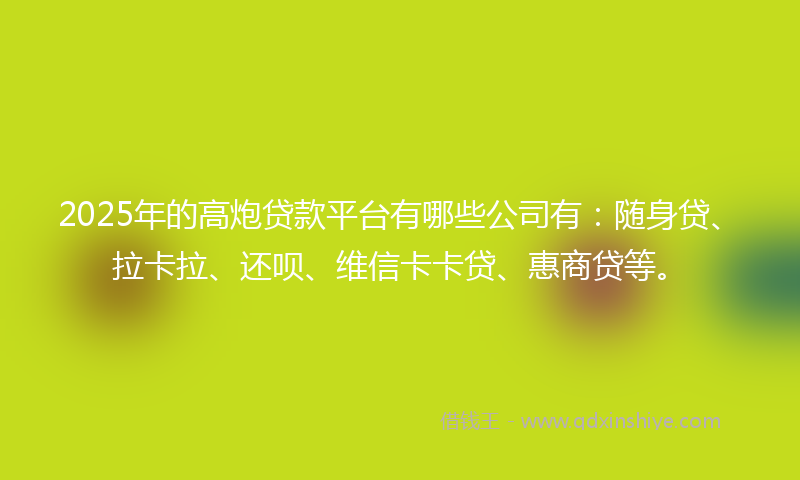 2025年的高炮贷款平台有哪些公司有：随身贷、拉卡拉、还呗、维信卡卡贷、惠商贷等。