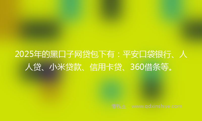 2025年的黑口子网贷包下有：平安口袋银行、人人贷、小米贷款、信用卡贷、360借条等。