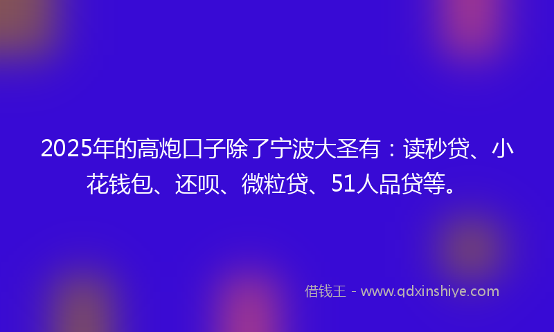 2025年的高炮口子除了宁波大圣有：读秒贷、小花钱包、还呗、微粒贷、51人品贷等。