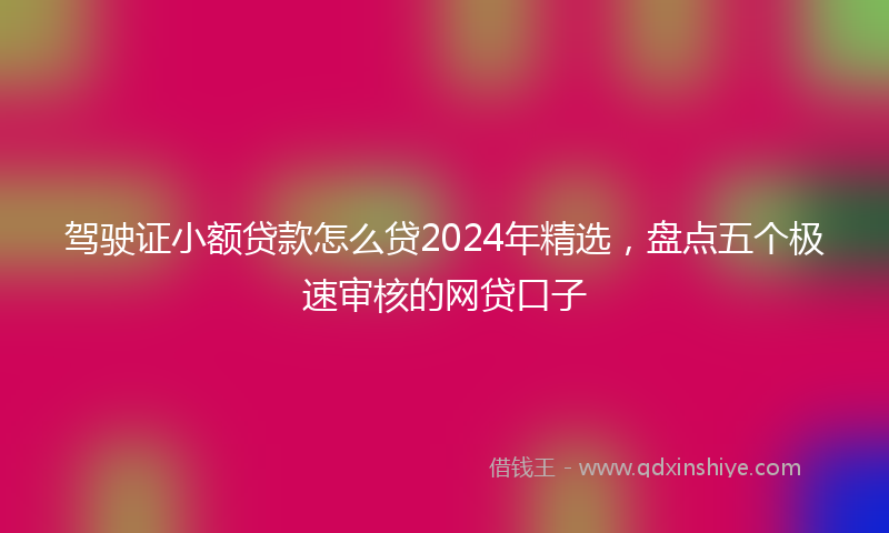 驾驶证小额贷款怎么贷2024年精选，盘点五个极速审核的网贷口子