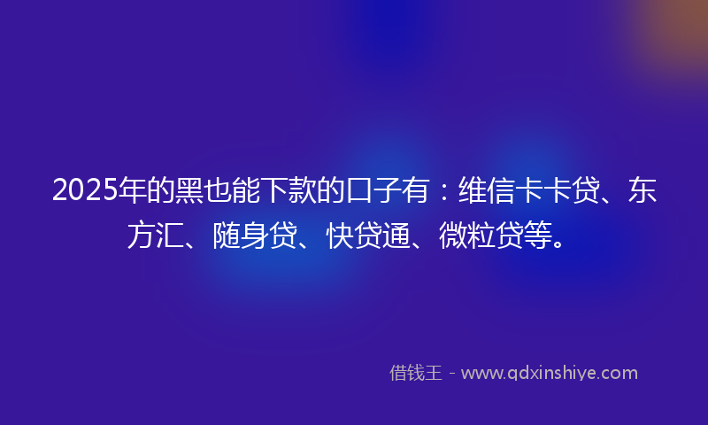 2025年的黑也能下款的口子有：维信卡卡贷、东方汇、随身贷、快贷通、微粒贷等。