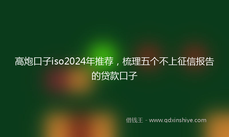 高炮口子iso2024年推荐，梳理五个不上征信报告的贷款口子