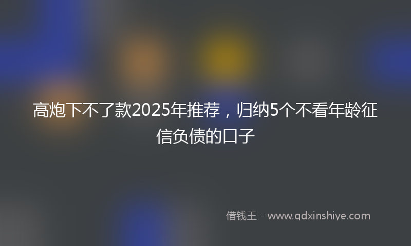 高炮下不了款2025年推荐，归纳5个不看年龄征信负债的口子