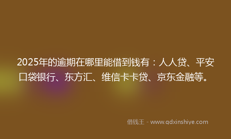 2025年的逾期在哪里能借到钱有：人人贷、平安口袋银行、东方汇、维信卡卡贷、京东金融等。
