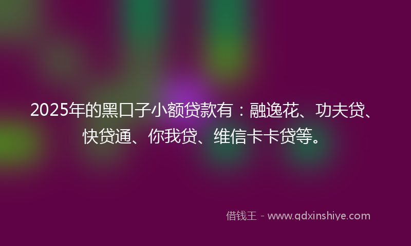 2025年的黑口子小额贷款有：融逸花、功夫贷、快贷通、你我贷、维信卡卡贷等。