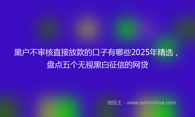 黑户不审核直接放款的口子有哪些2025年精选，盘点五个无视黑白征信的网贷