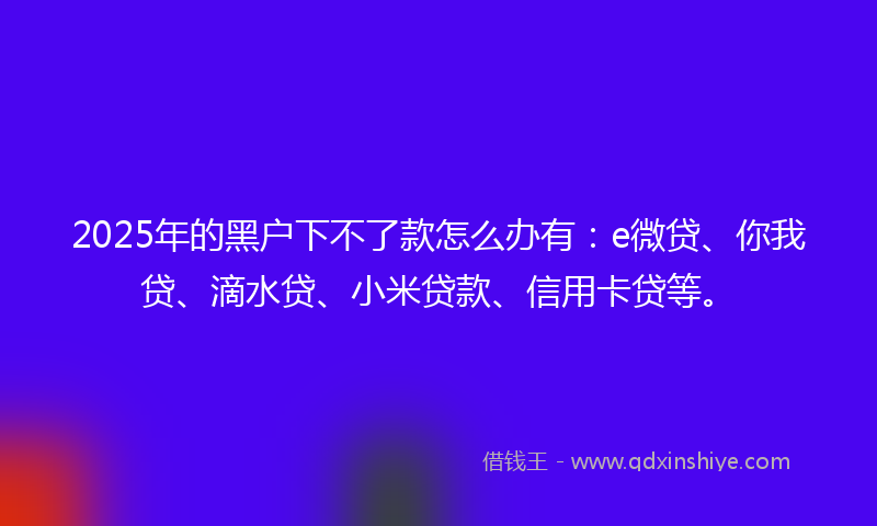 2025年的黑户下不了款怎么办有：e微贷、你我贷、滴水贷、小米贷款、信用卡贷等。