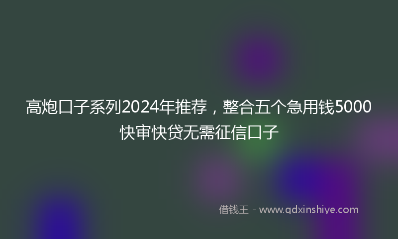 高炮口子系列2024年推荐，整合五个急用钱5000快审快贷无需征信口子