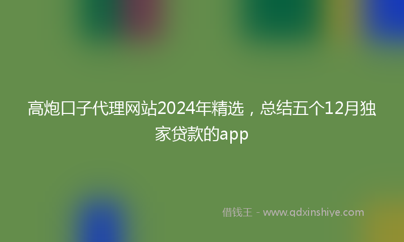 高炮口子代理网站2024年精选，总结五个12月独家贷款的app