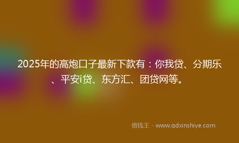 2025年的高炮口子最新下款有：你我贷、分期乐、平安i贷、东方汇、团贷网等。