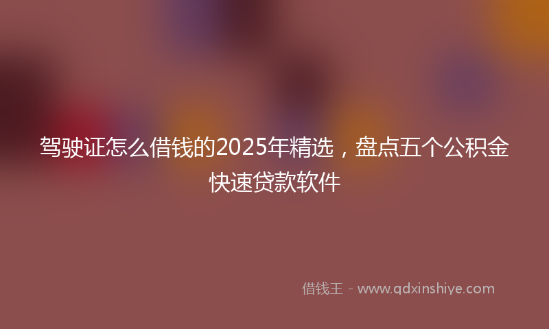 驾驶证怎么借钱的2025年精选，盘点五个公积金快速贷款软件