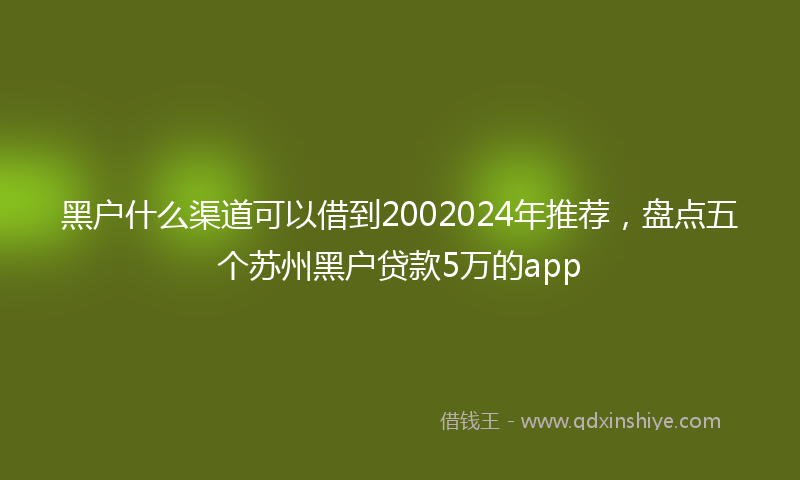 黑户什么渠道可以借到2002024年推荐，盘点五个苏州黑户贷款5万的app
