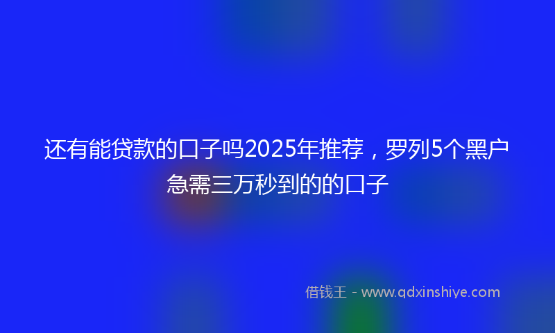 还有能贷款的口子吗2025年推荐，罗列5个黑户急需三万秒到的的口子