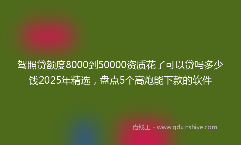 驾照贷额度8000到50000资质花了可以贷吗多少钱2025年精选，盘点5个高炮能下款的软件