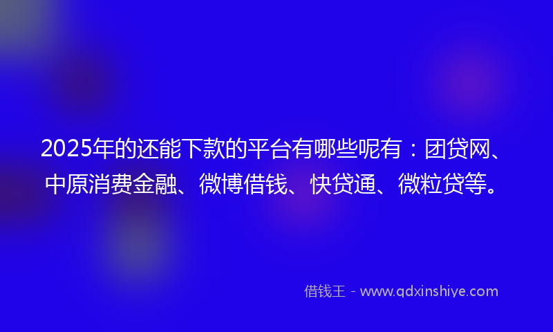 2025年的还能下款的平台有哪些呢有：团贷网、中原消费金融、微博借钱、快贷通、微粒贷等。