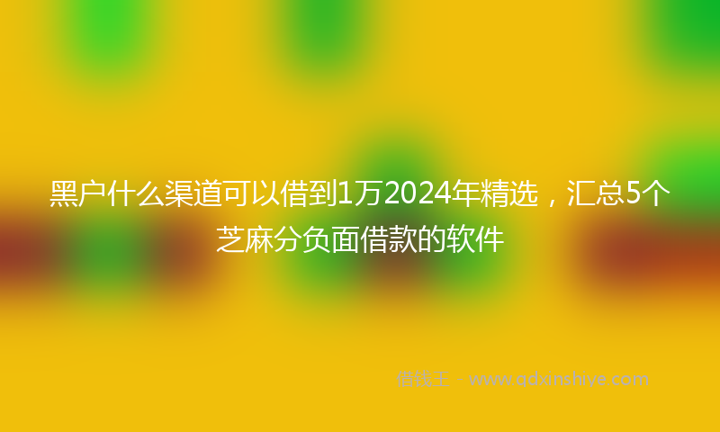 黑户什么渠道可以借到1万2024年精选，汇总5个芝麻分负面借款的软件