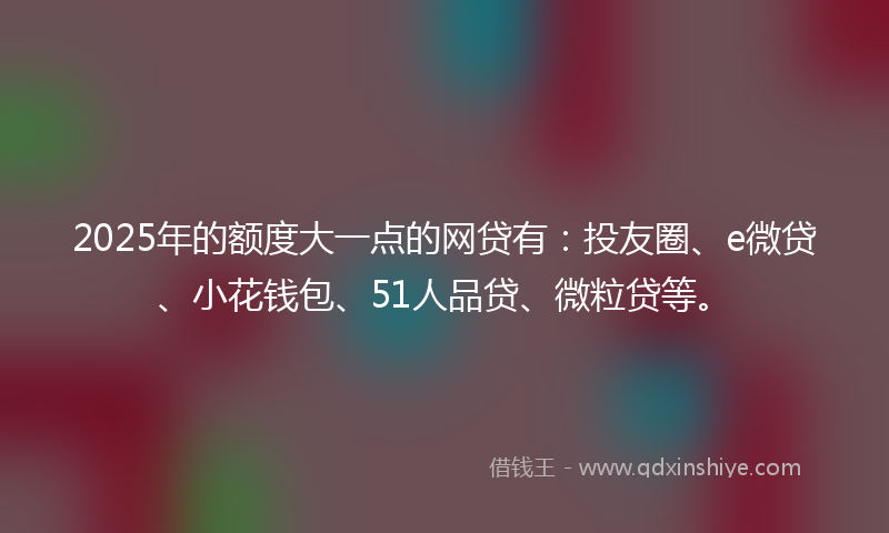 2025年的额度大一点的网贷有：投友圈、e微贷、小花钱包、51人品贷、微粒贷等。