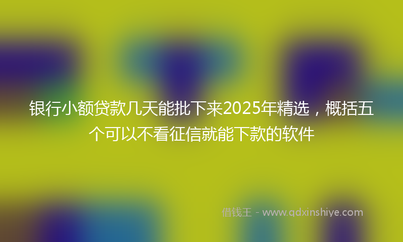 银行小额贷款几天能批下来2025年精选，概括五个可以不看征信就能下款的软件