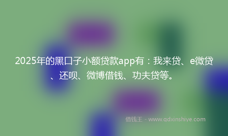 2025年的黑口子小额贷款app有：我来贷、e微贷、还呗、微博借钱、功夫贷等。