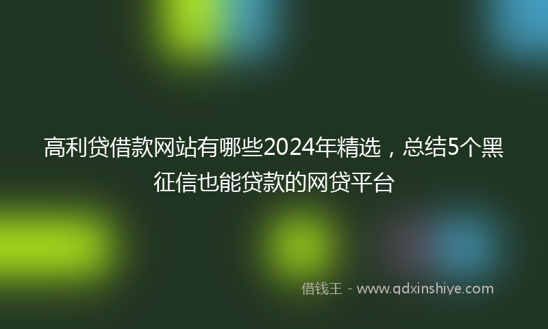 高利贷借款网站有哪些2024年精选，总结5个黑征信也能贷款的网贷平台