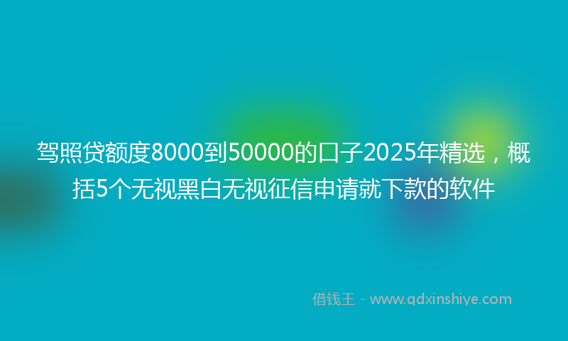 驾照贷额度8000到50000的口子2025年精选，概括5个无视黑白无视征信申请就下款的软件