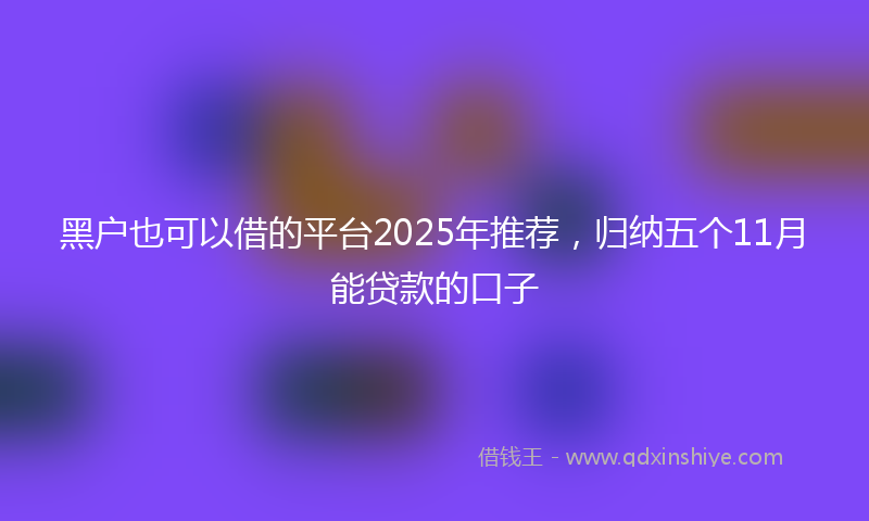 黑户也可以借的平台2025年推荐，归纳五个11月能贷款的口子