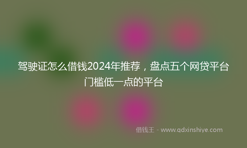 驾驶证怎么借钱2024年推荐，盘点五个网贷平台门槛低一点的平台