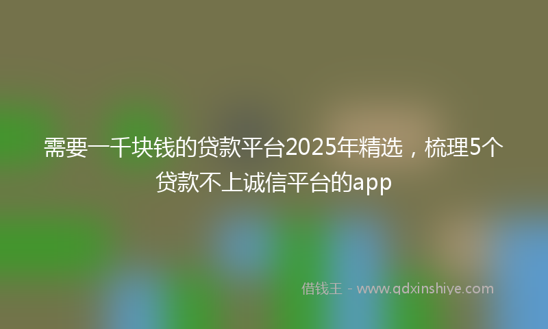需要一千块钱的贷款平台2025年精选，梳理5个贷款不上诚信平台的app