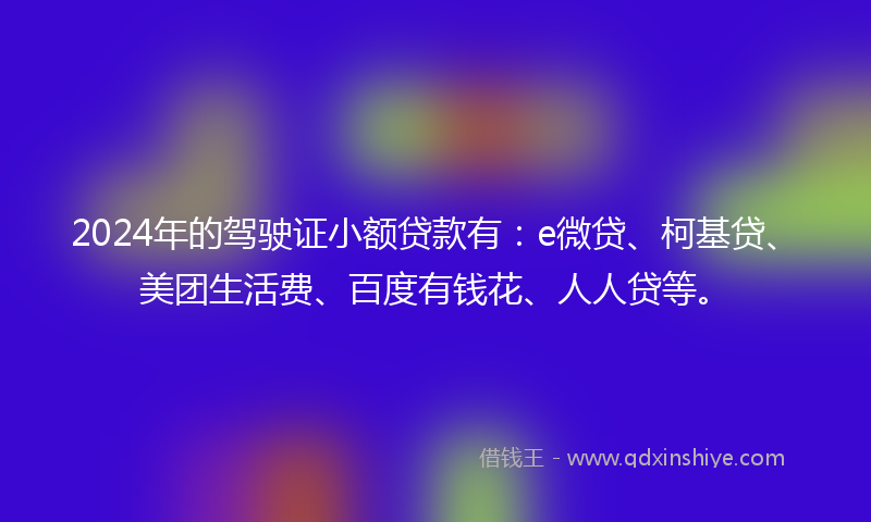 2024年的驾驶证小额贷款有：e微贷、柯基贷、美团生活费、百度有钱花、人人贷等。