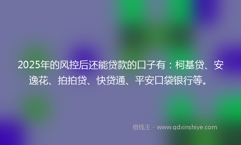2025年的风控后还能贷款的口子有：柯基贷、安逸花、拍拍贷、快贷通、平安口袋银行等。