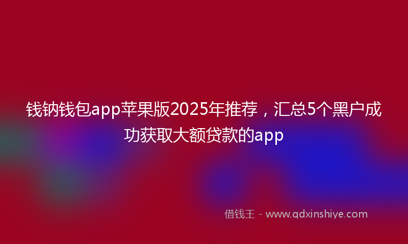 钱钠钱包app苹果版2025年推荐，汇总5个黑户成功获取大额贷款的app