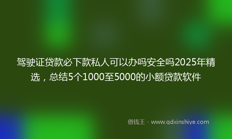 驾驶证贷款必下款私人可以办吗安全吗2025年精选，总结5个1000至5000的小额贷款软件