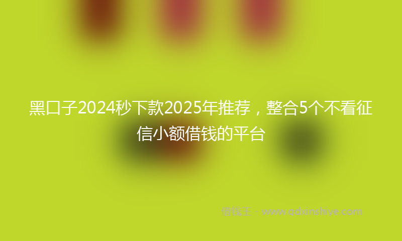 黑口子2024秒下款2025年推荐，整合5个不看征信小额借钱的平台
