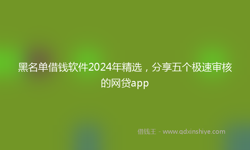 黑名单借钱软件2024年精选，分享五个极速审核的网贷app