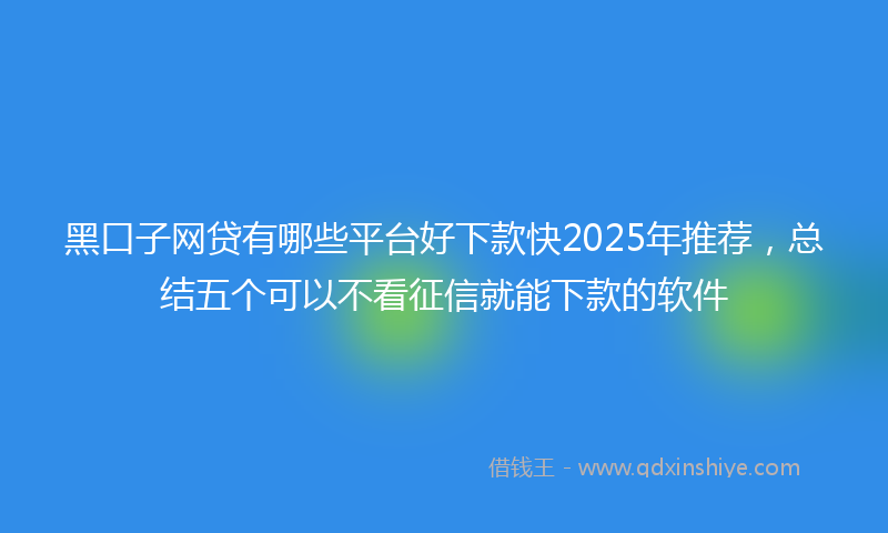 黑口子网贷有哪些平台好下款快2025年推荐，总结五个可以不看征信就能下款的软件