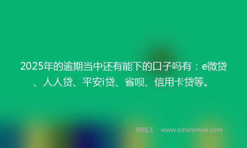 2025年的逾期当中还有能下的口子吗有：e微贷、人人贷、平安i贷、省呗、信用卡贷等。