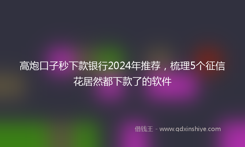 高炮口子秒下款银行2024年推荐，梳理5个征信花居然都下款了的软件