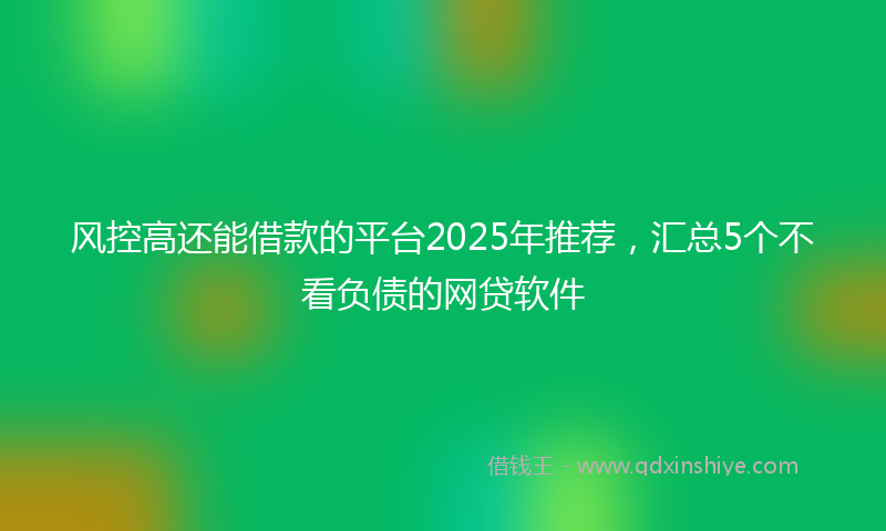 风控高还能借款的平台2025年推荐，汇总5个不看负债的网贷软件
