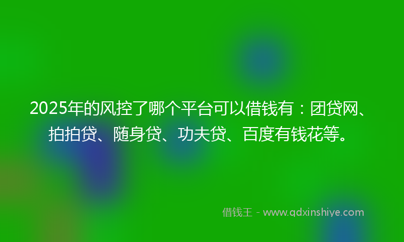 2025年的风控了哪个平台可以借钱有：团贷网、拍拍贷、随身贷、功夫贷、百度有钱花等。