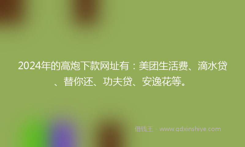 2024年的高炮下款网址有：美团生活费、滴水贷、替你还、功夫贷、安逸花等。