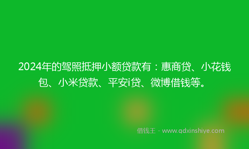 2024年的驾照抵押小额贷款有：惠商贷、小花钱包、小米贷款、平安i贷、微博借钱等。