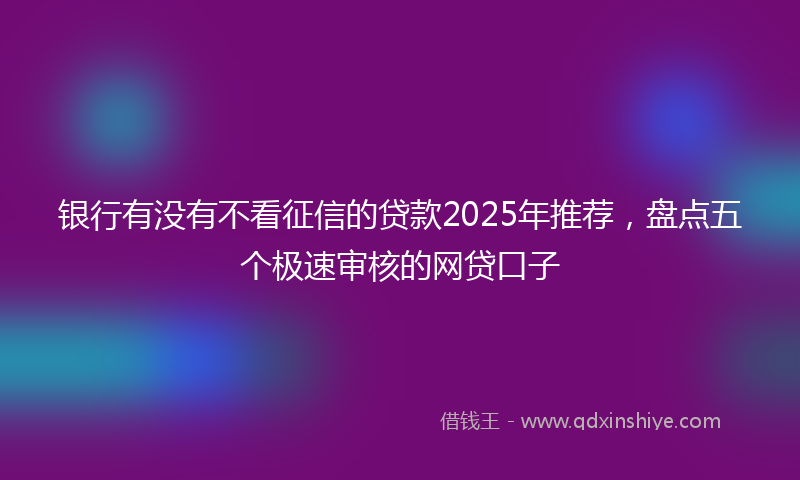 银行有没有不看征信的贷款2025年推荐，盘点五个极速审核的网贷口子