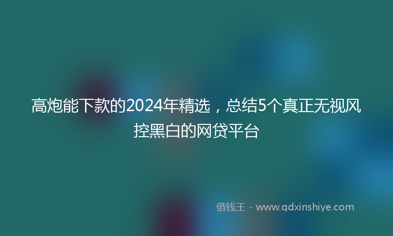 高炮能下款的2024年精选，总结5个真正无视风控黑白的网贷平台