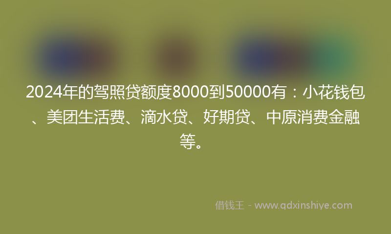 2024年的驾照贷额度8000到50000有：小花钱包、美团生活费、滴水贷、好期贷、中原消费金融等。